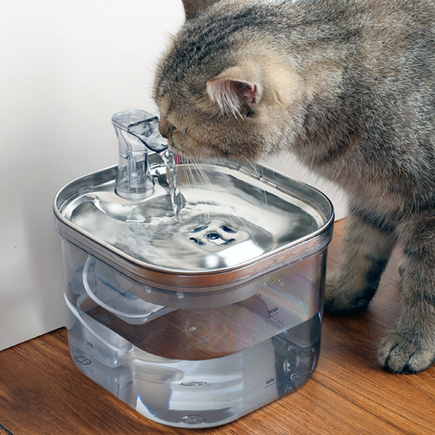 Pet Stainless Steel Automatic Circulation Water Dispenser